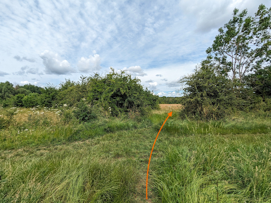 Cross the track then continue on a path through the hedgerow