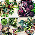 Rawfood