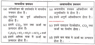 Bihar Board Class 10th Biology Biological Process | NCERT Class 10 Science Chapter 6 | बिहार बोर्ड कक्षा 10वीं विज्ञान अध्याय 6 जैव प्रक्रम | सभी प्रश्नों के उत्तर