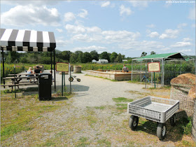 Granjas de Massachusetts: Zona Infantil de la Cider Hill Farm 