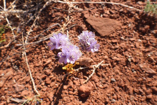 Valley of the Gods