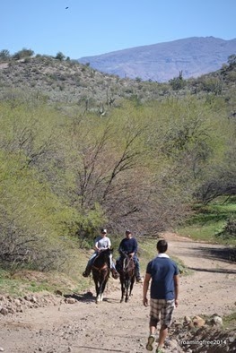 Met some horses on our way back