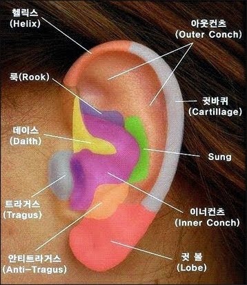 10원 Tips Ear Piercing Part Names In Korean