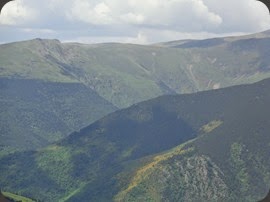 DSC02557