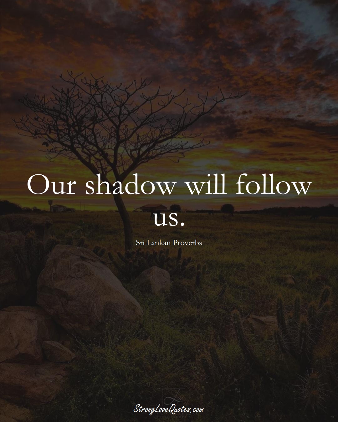 Our shadow will follow us. (Sri Lankan Sayings);  #AsianSayings
