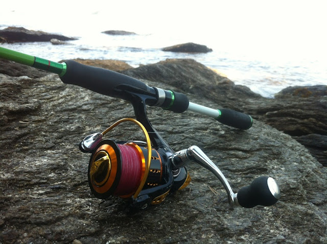 leurres souples, leurre souple, rockfishing, montage rockfishing, cannes rockfishing, article de pêche