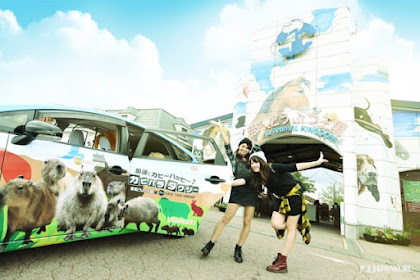 #Must-see Video ♪ Enjoy your time with the cute animals at Nasu Animal Kingdom, Japan! 