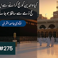  کیا والدین کو حج کرانے سے اپنا فرض حج ذمے سے ساقط ہو جائے گا؟