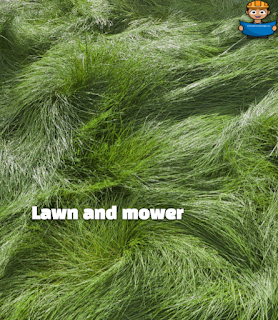 lawn and mower