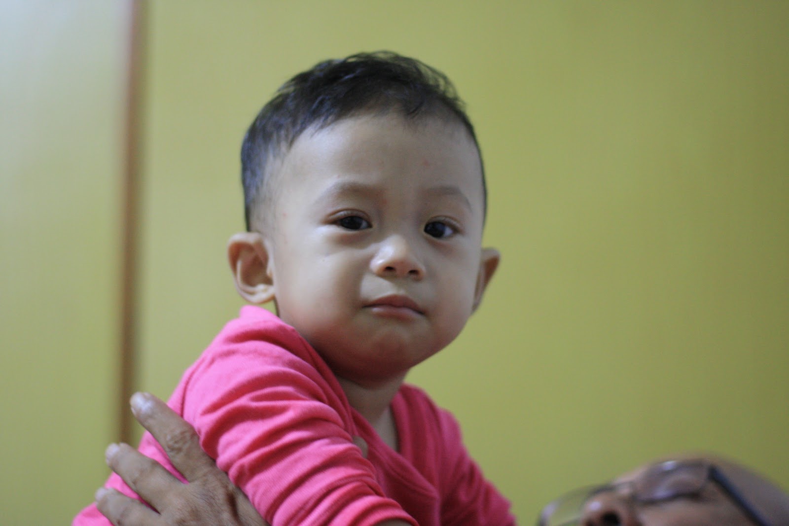 Ubat Demam Untuk Anak Kucing - Omong x