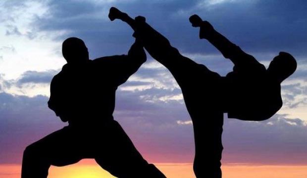 PERSAUDARAAN SETIA HATI: PENCAK SILAT