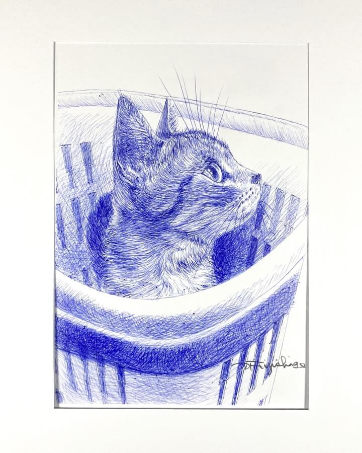 03-In-the-laundry-basket-Cat-Drawings-Hisao-Fujishige-www-designstack-co