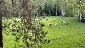 näköala parvekkeelta