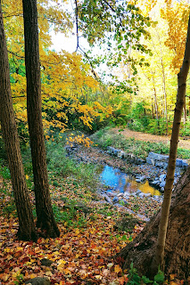 Deerlick Creek in Brookbanks Park in the Fall