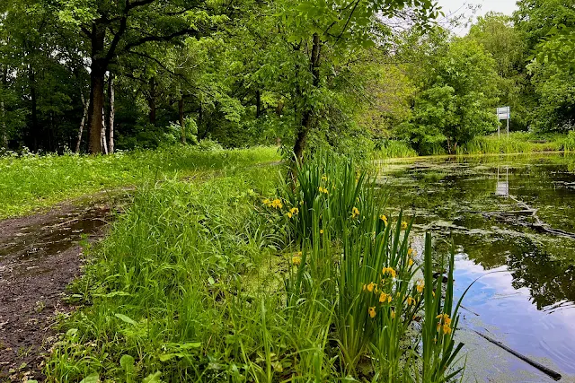 Ботанический сад, Пионерский пруд