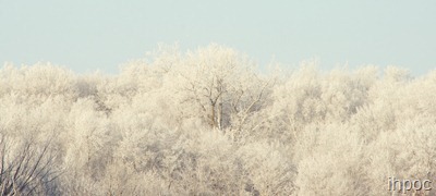 IMG_3014 copy