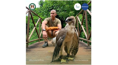 Burung Rajawaji Papua Terbesar Bisa Dilihat di Jakarta