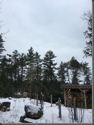 IMG_0518