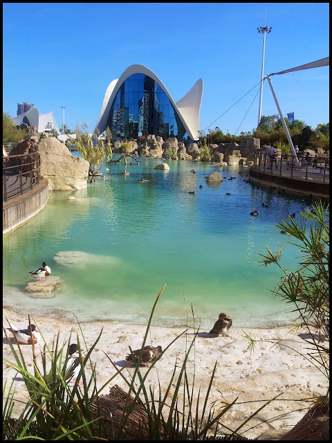 valencia cite des arts et sciences