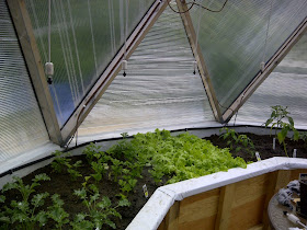 Geodesic Dome Irrigation