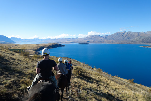 Lake Tekapo, Mackenzie Alpine Horse, 特卡波湖, 騎馬