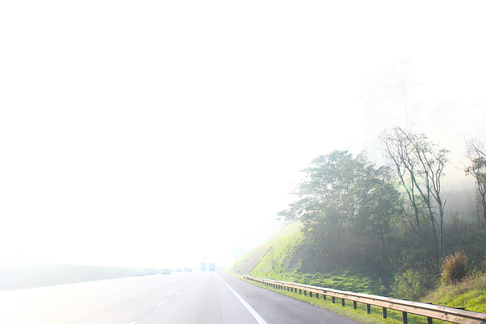 subindo serra estrada neblina