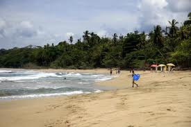 Playa Cocles, Limón