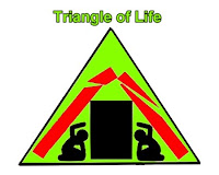 Triangle Of Life
