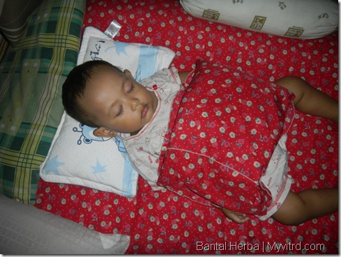 Bantal Herba Daun Teh 3