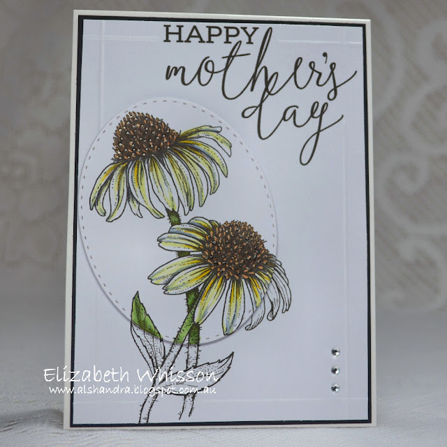 Elizabeth Whisson, Alshandra, Mother's Day, handmade card, Easy Breezy Coneflowers, PowerPoppy, Copics, scor, our daily bread designs, stitched ovals dies