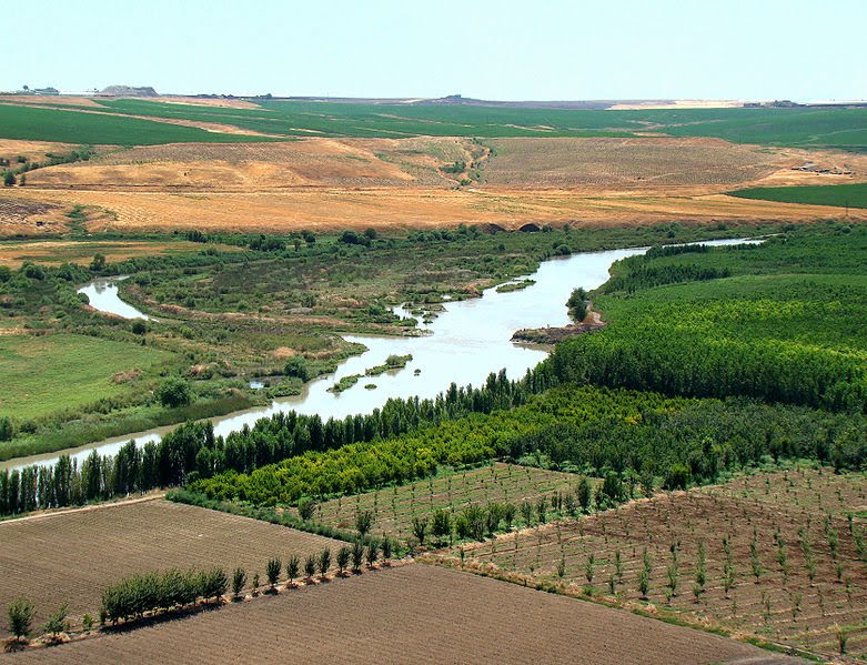 tigris river and euphrates river. tigris river and euphrates