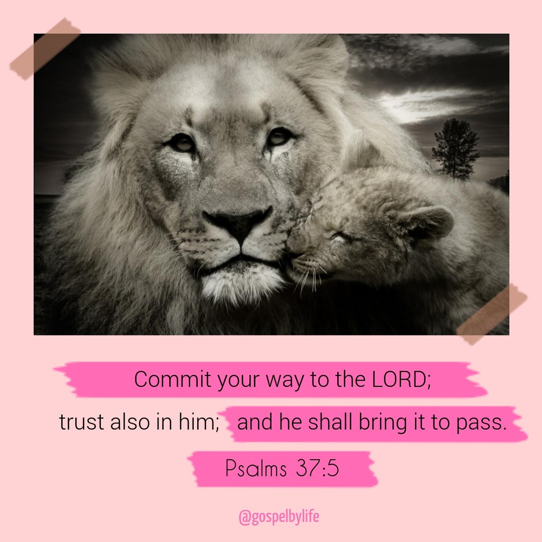 Bible Image Confidence in God - Psalms 37:5