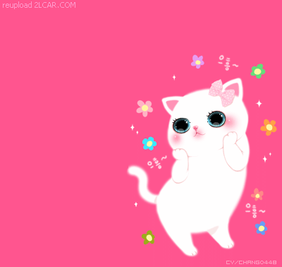 Queeniz Diary Animasi  Kartun Korea Kucing 