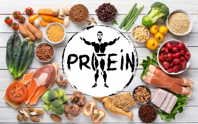 Top Protein Benefits for Fitness & Health