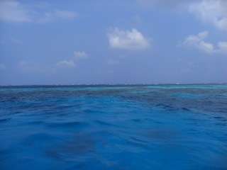 CIMG0486