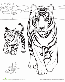 Mom Tiger And Baby Coloring Pages For Kids
