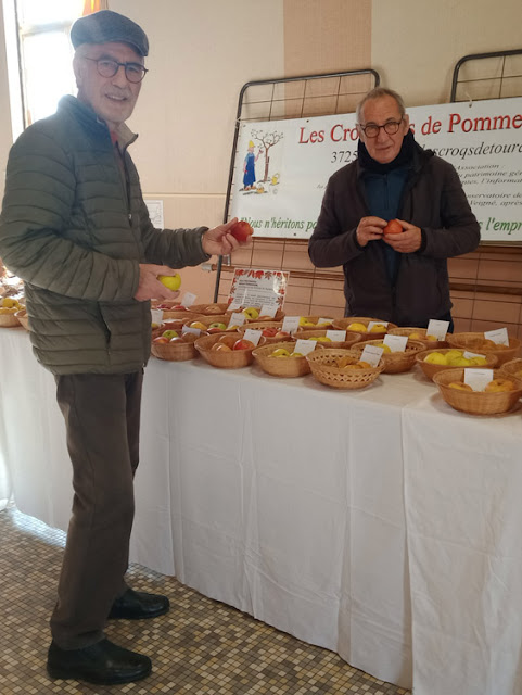 Identifying an apple for a member of the public, Indre et Loire, France. Photo by Loire Valley Time Travel.