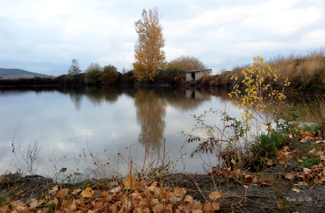 Balsa de Cogollos, otoño, reflejos