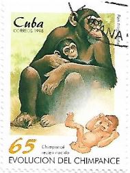 Selo Chimpanzé