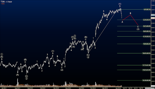 Elliott Wave Option Signals - Closed TSN Short at 34% Profit