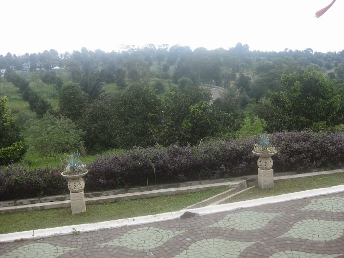 Bagaikan Berenang di Atas Awan 