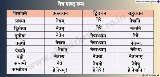 Netra Shabd Roop In Sanskrit