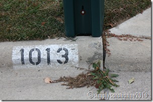 thanksgiving2010 029