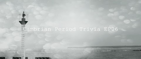 Cambrian Period Trivia: Odhodenie zlatej kože cikády EP6