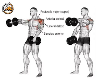 The 8 Best Dumbbell Exercises for Your Shoulders
