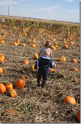 2011-10-16 Bartels Farm (18)