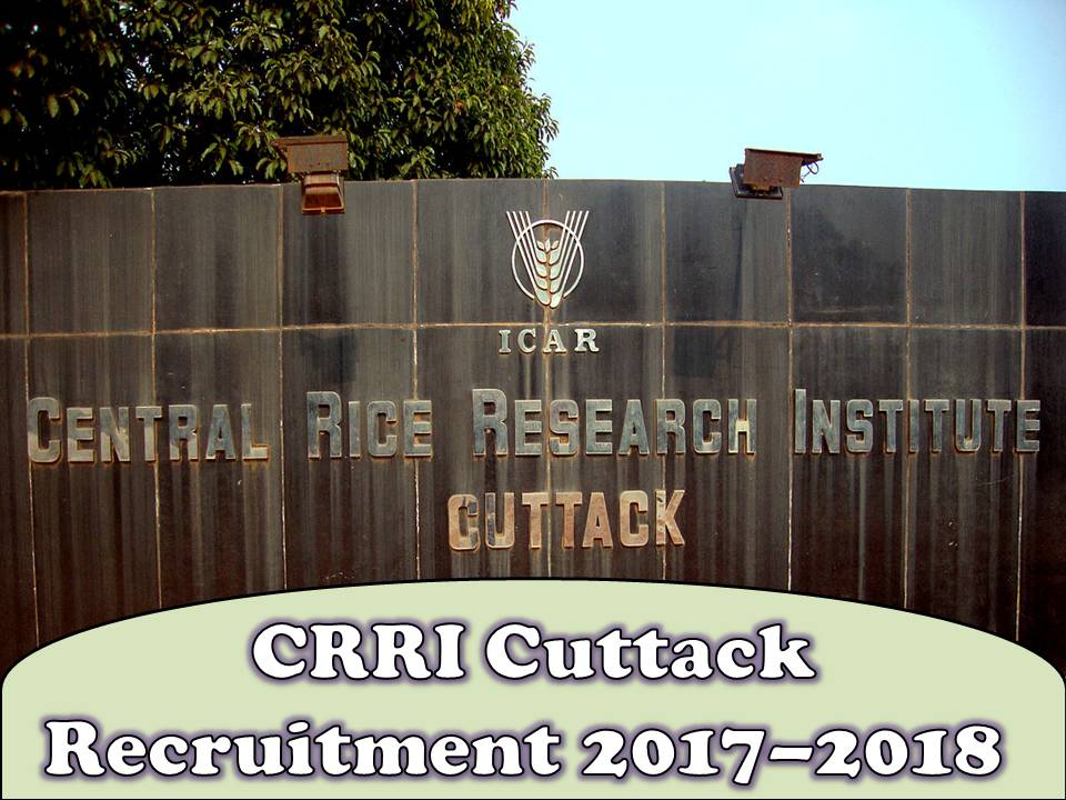 CRRI Cuttack Recruitment