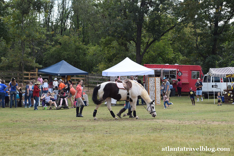 Little Creek Farm Conservancy HorseFest 2017