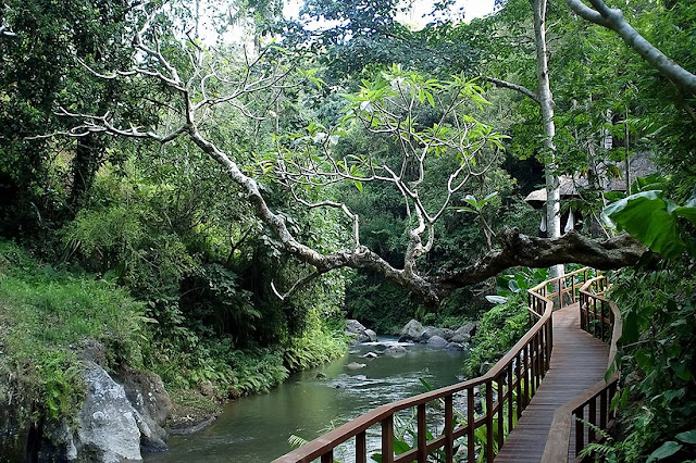 bali passarela de madeira