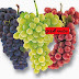 Homemade Grape Beauty Recipes